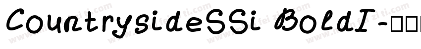 CountrysideSSi BoldI字体转换